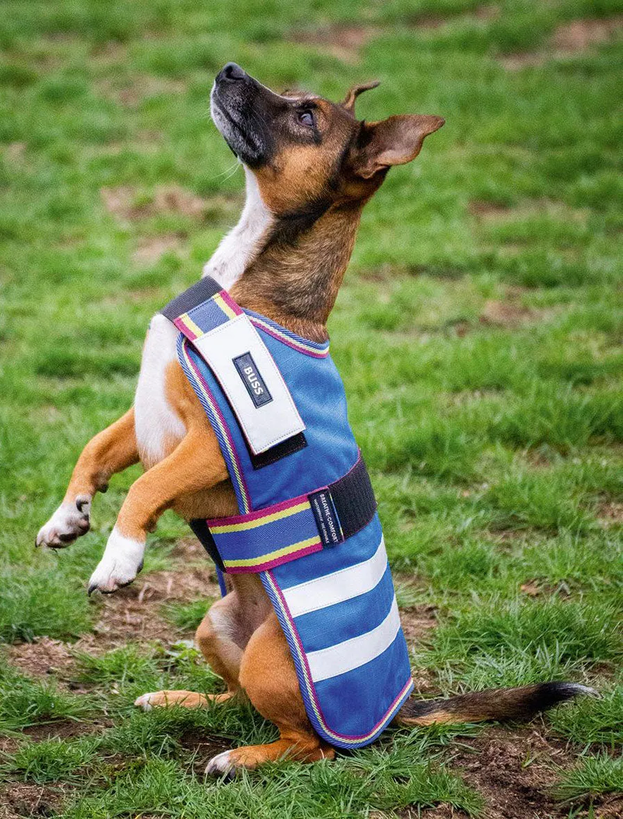 600D Turnout Waterproof Medium-Weight Water-resistant Weanling  Foal Mini Horse Calf Pony Dog Winter Blanket 608EE600D