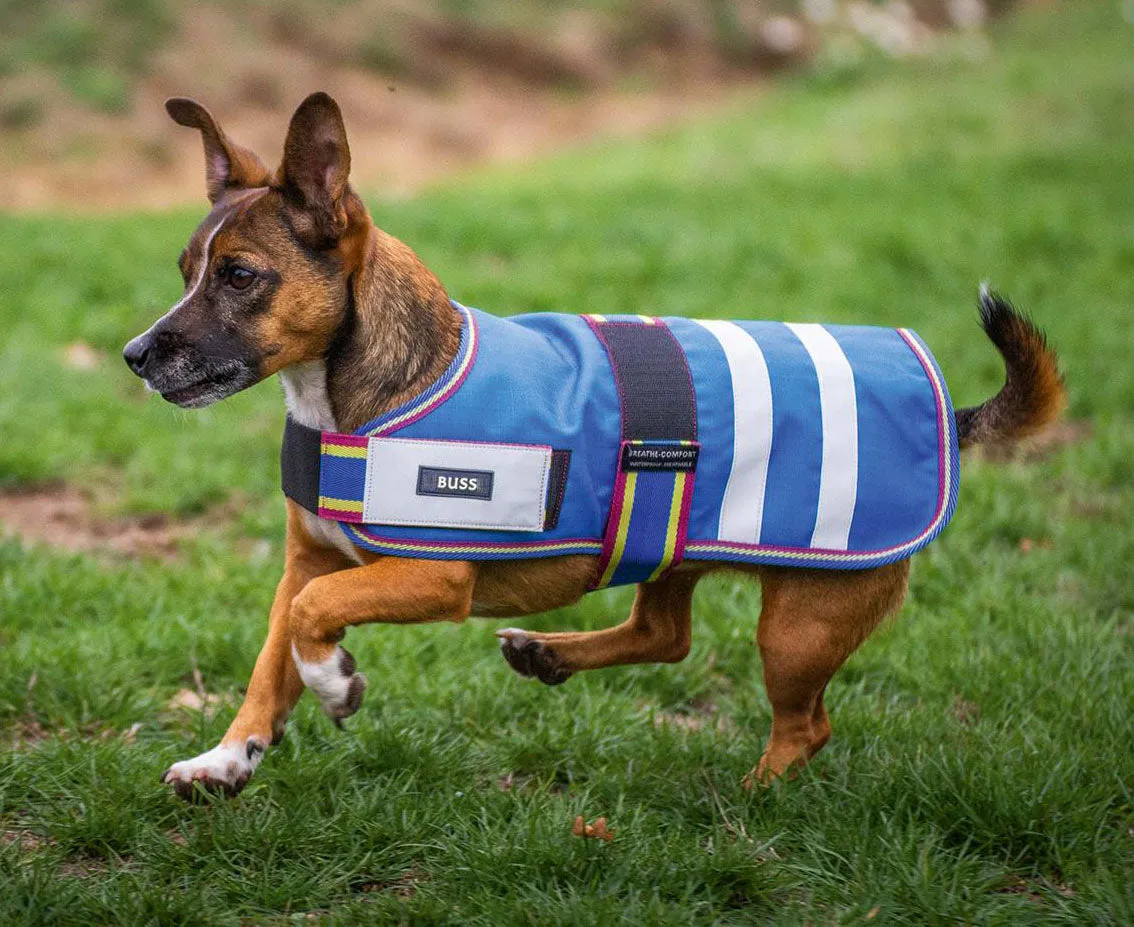 600D Turnout Waterproof Medium-Weight Water-resistant Weanling  Foal Mini Horse Calf Pony Dog Winter Blanket 608EE600D