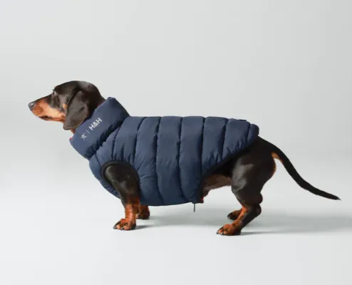 Hackett X Hugo&Hudson - Reversible Puffer Jacket